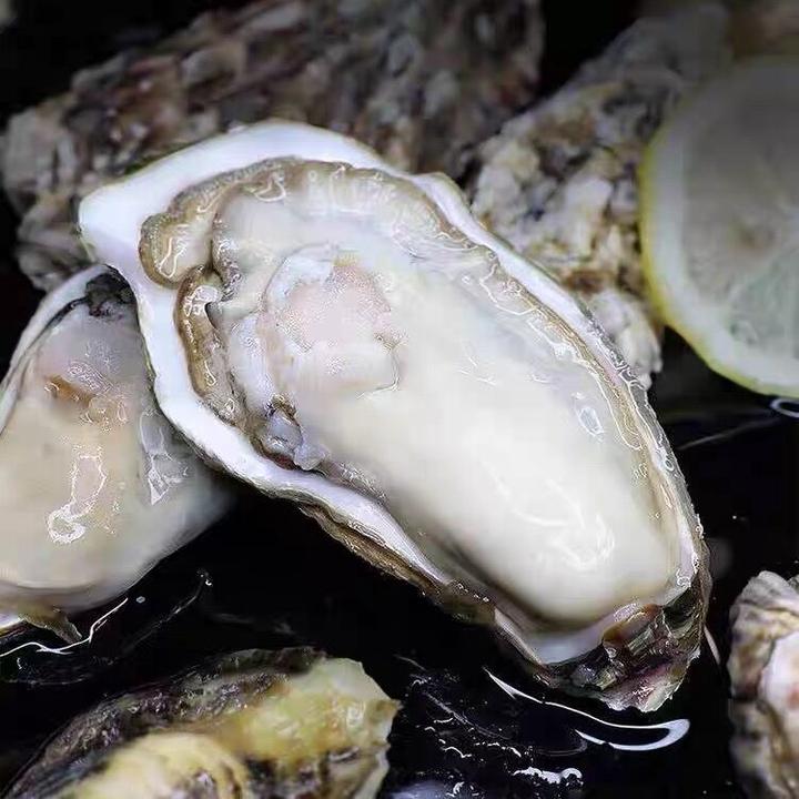 现剥大生蚝肉250克/盒 每盒6到9只左右到手7盒