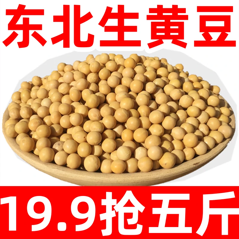 【19.9五斤装】生黄豆可发豆芽打豆浆专用甄选农家黄豆粗粮大豆美