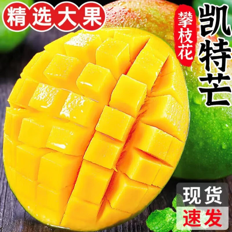 【放软再吃】凯特芒带箱5斤 单果250g-400g现摘新鲜到手3-9个
