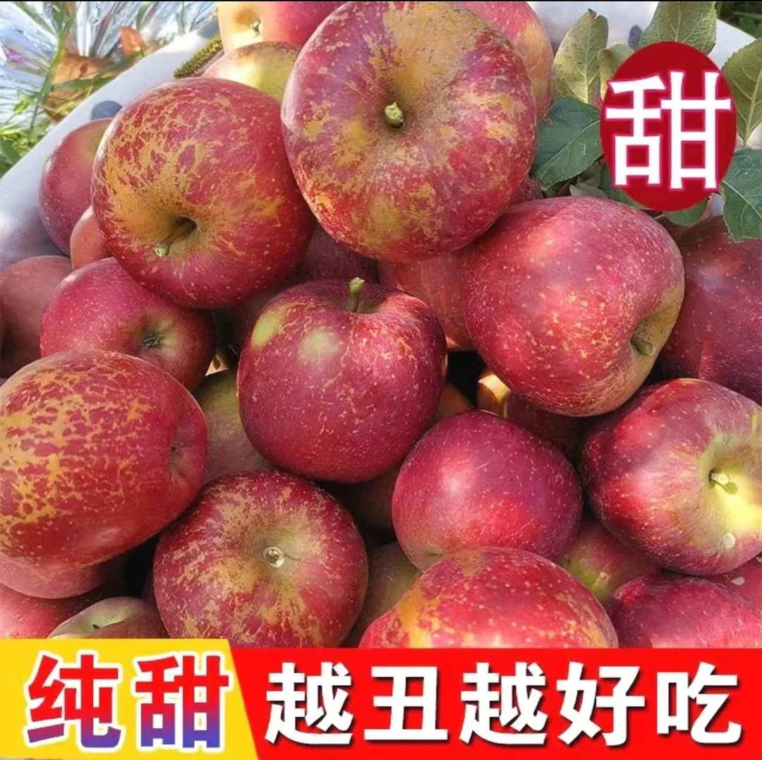 H四川大凉山高山脆甜丑苹果10斤/24.9
