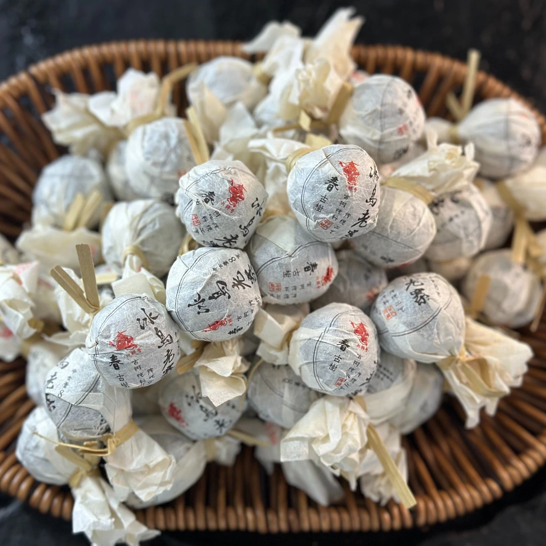 冰岛老寨41号2023年春纯古树龙珠8克