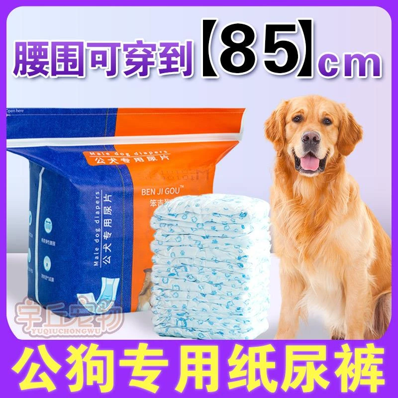 大型犬纸尿裤公狗专用宠物老年狗狗安全裤姨妈垫卫生棉超薄尿不湿