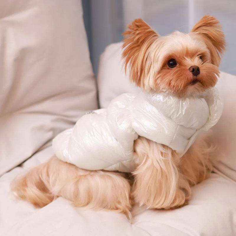 约克夏专用马甲小狗狗冬季冬天羽绒服棉服棉衣加绒保暖小体犬幼犬