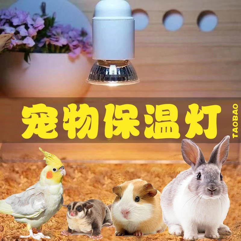 宠物保暖灯冬天防寒冷神器兔子松鼠小鸡鸭猫咪狗狗蜜袋鼯的保温灯