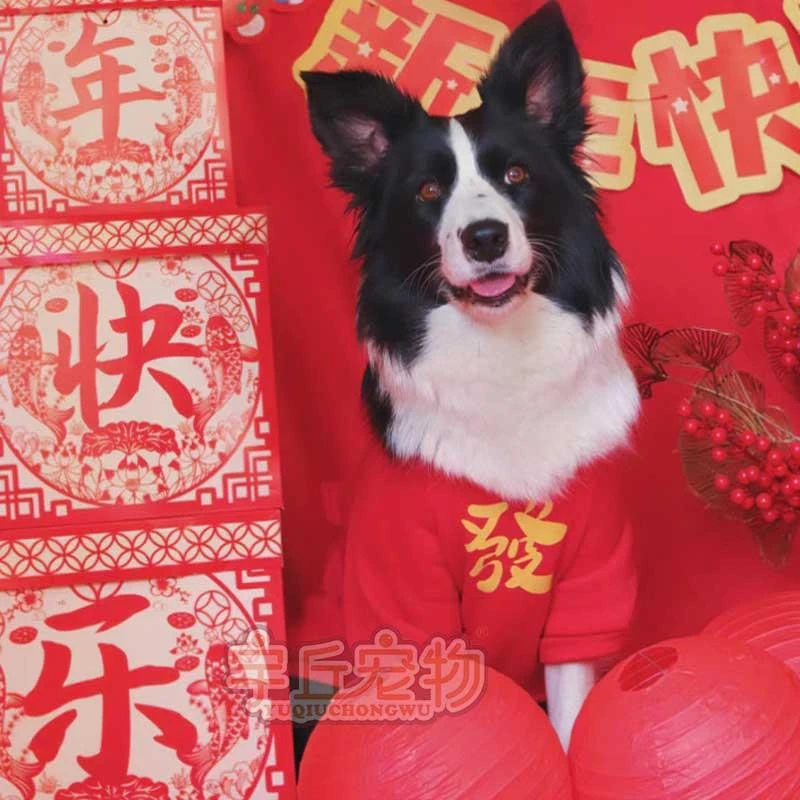 庆狗狗衣服过年宠物冬季中大型犬保暖冬装边境牧羊犬金毛拉布拉多