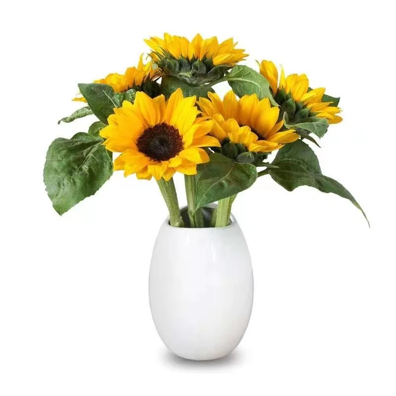 向日葵--（鲜花发货后不支持无理由退货退款、售后时效为签收24H内）