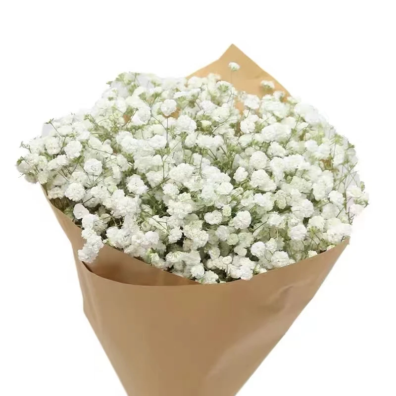 云南鲜花-满天星（少量掉头不售后，售后时效收到24h内、请留意、谢谢