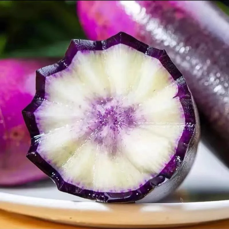 【七月家】山东冰淇淋水果萝卜5斤装