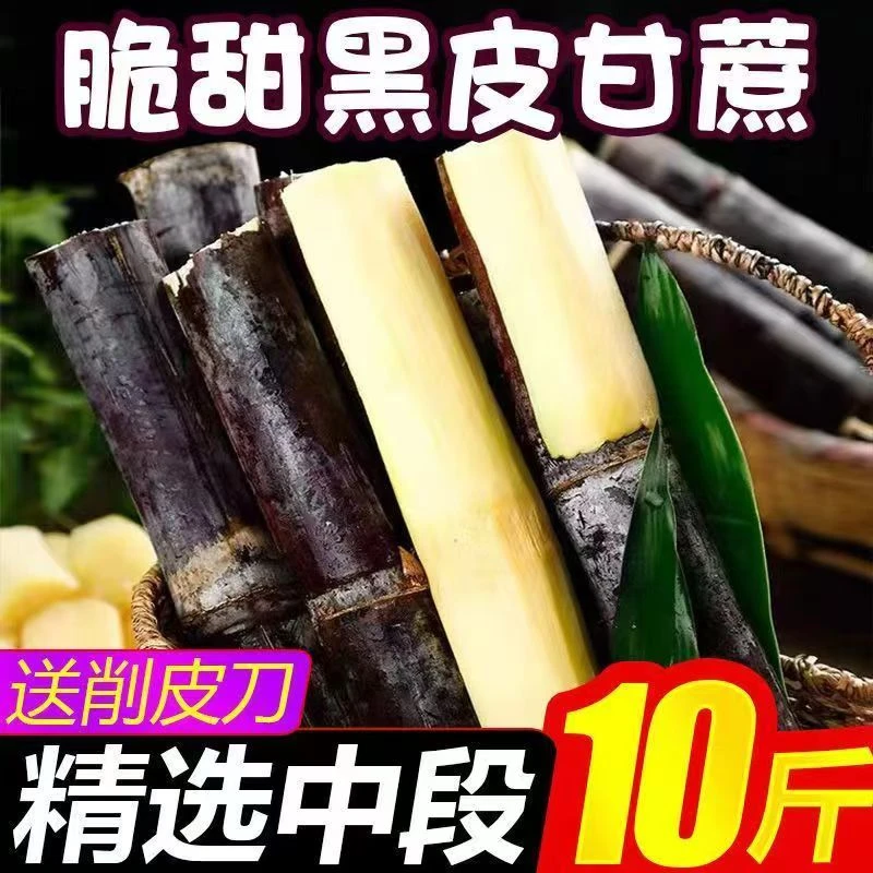 【现砍现发】正宗广西桂林阳朔黑皮甘蔗带箱10斤松软可口蜜甜多汁