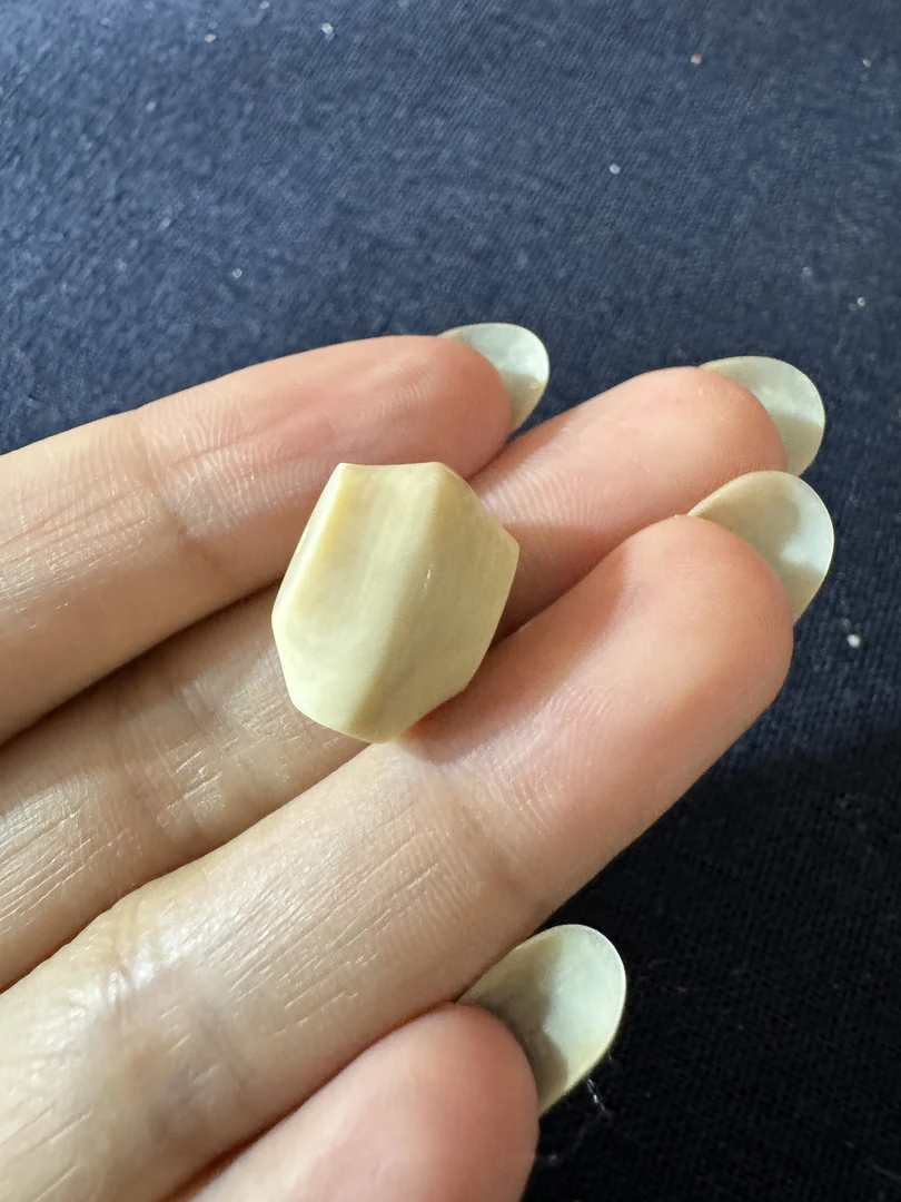 猛犸牙1.1鲨鱼背三通一个