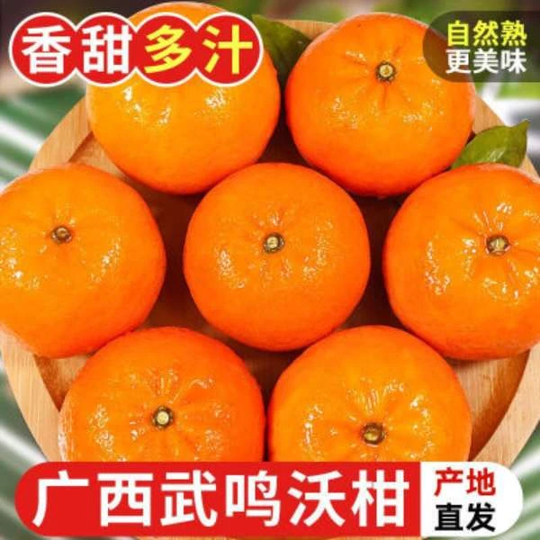 广西武鸣沃柑水果新鲜沃柑爆汁头茬老树脆蜜金柑特大