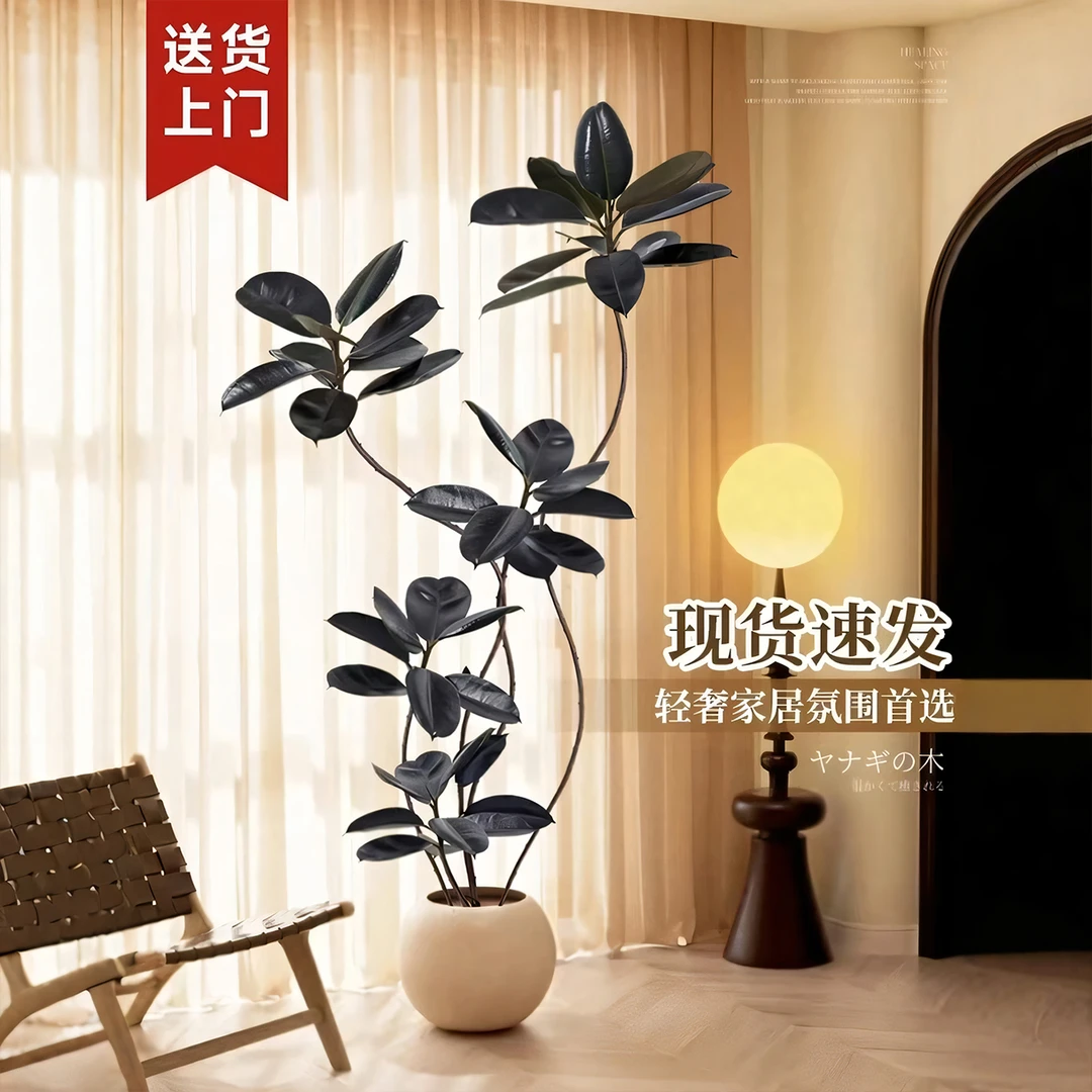 仿真绿植黑金刚多杆橡皮树高端轻奢假大型盆假树仿生植物客厅