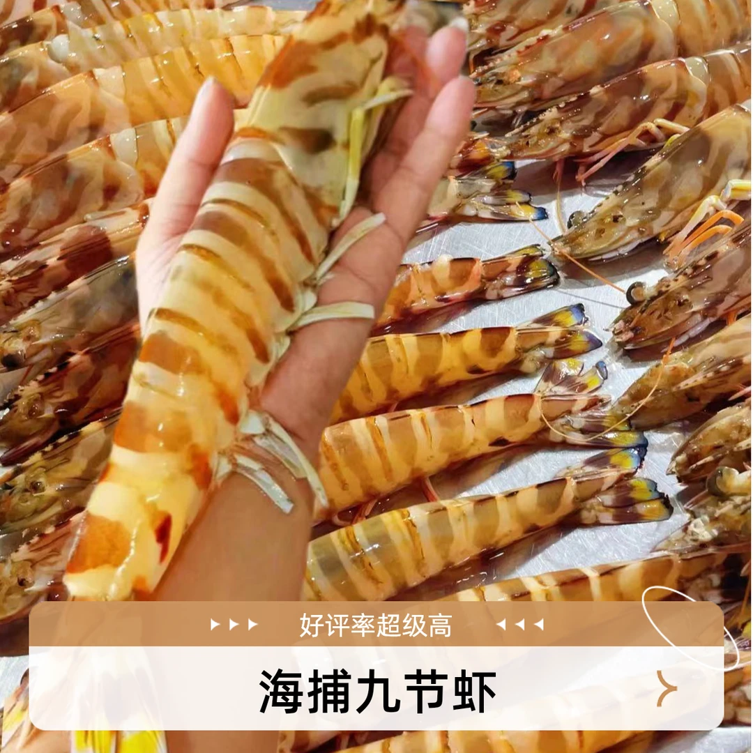 福建海捕-特大九节虾/斑节虾/竹节虾海虾海捕营养大虾活冻发货