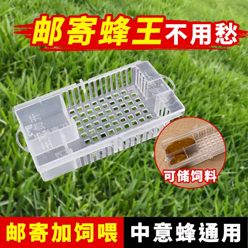 邮寄蜂王专用王笼储王器双仓塑料多功能关扣峰王养蜂工具