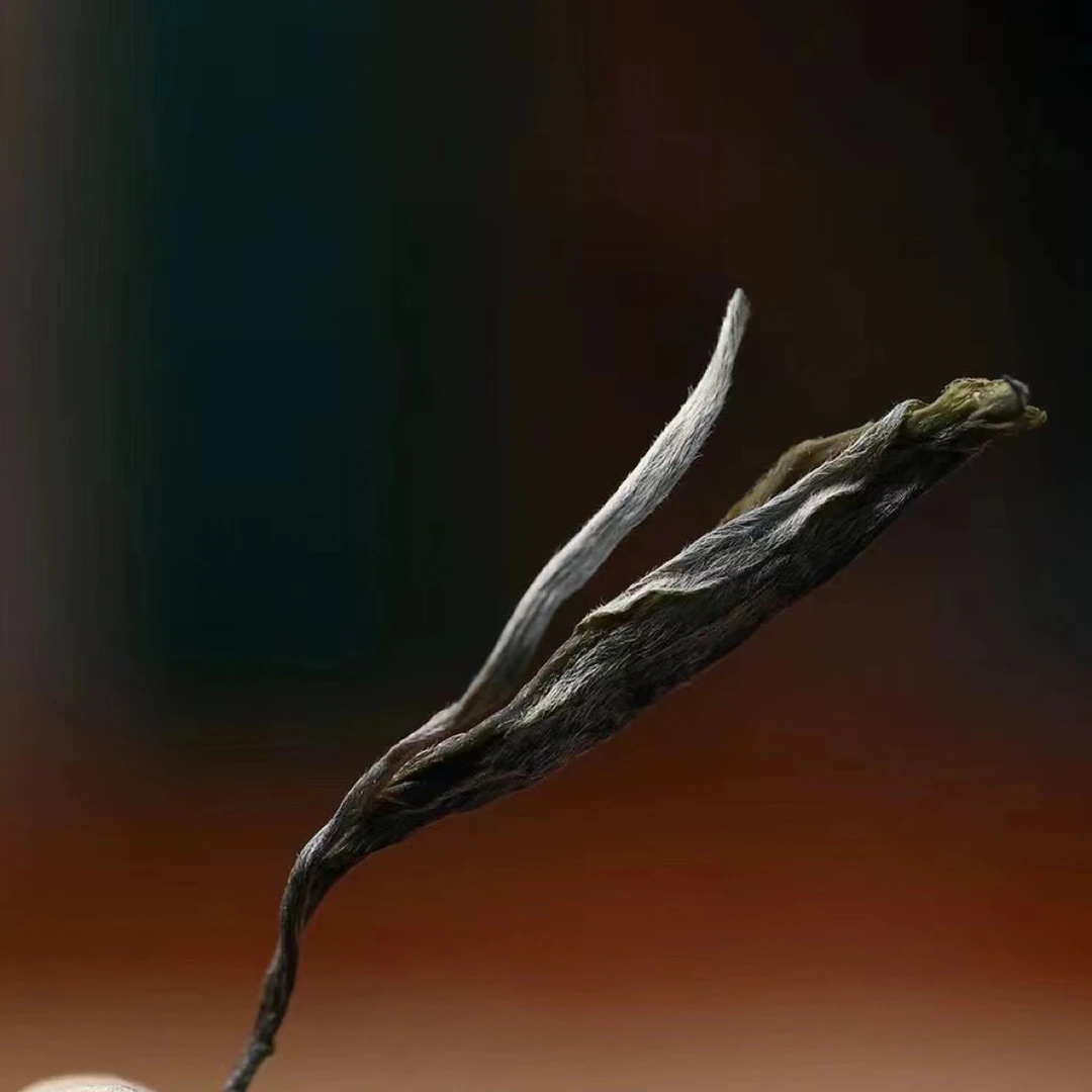 2024年秋昔归古树散茶500克