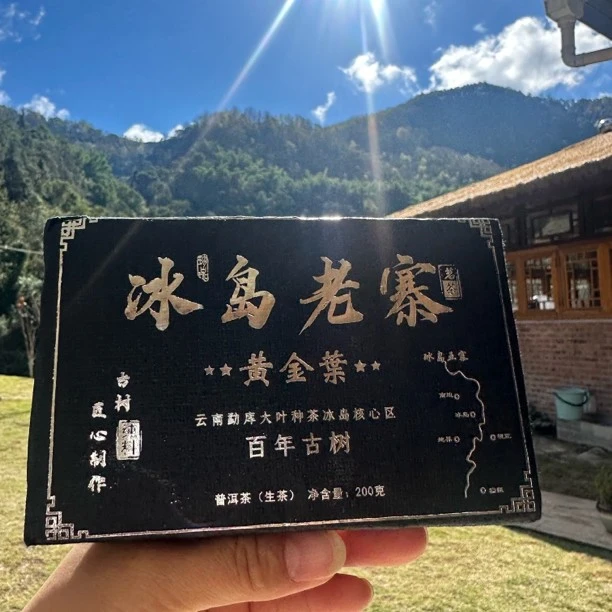2024年春冰岛老寨黄金叶黑饼200克