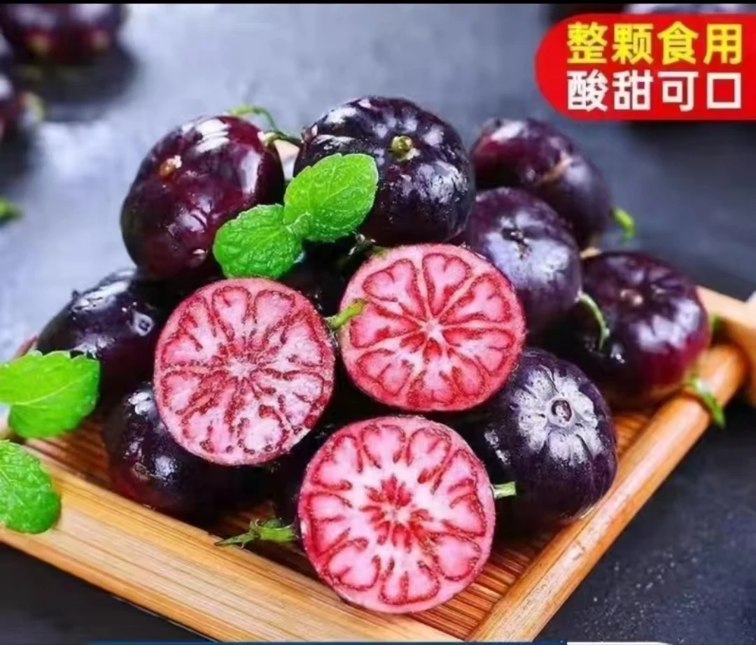 云南高山红果参鲜果现采现发稀有应季水果蜘蛛果小红果