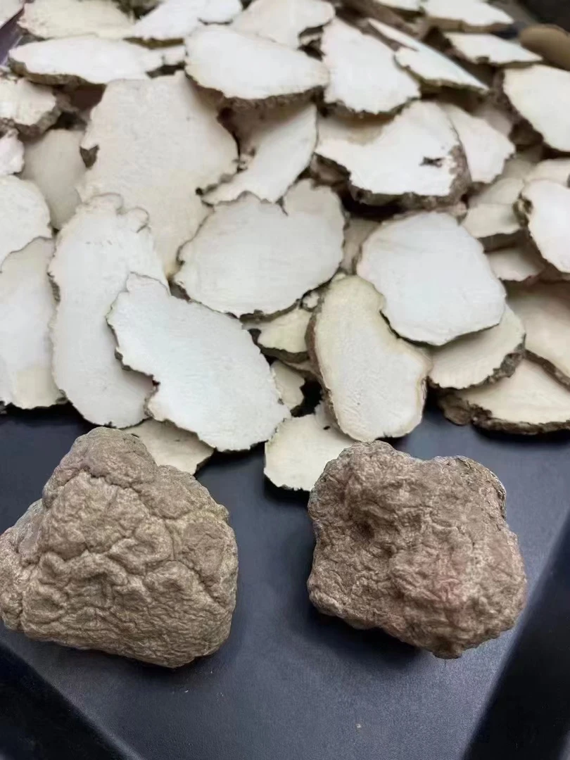 虎乳菌 虎奶菌 口参 煮水喝