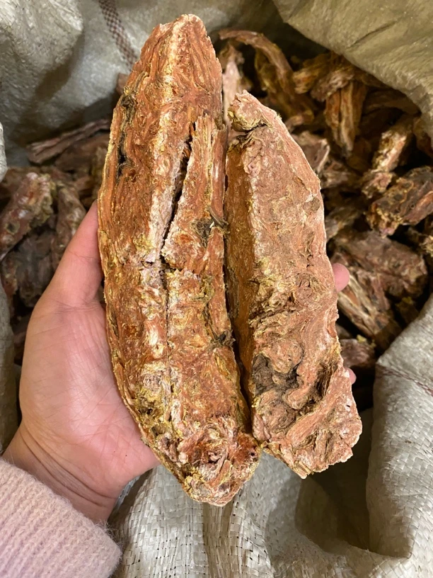 【西藏收货】西藏波密红景天