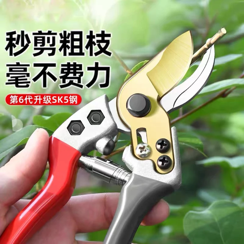 《老板专属》园林修枝剪剪树枝专用剪刀家用修花粗枝园艺果树剪子
