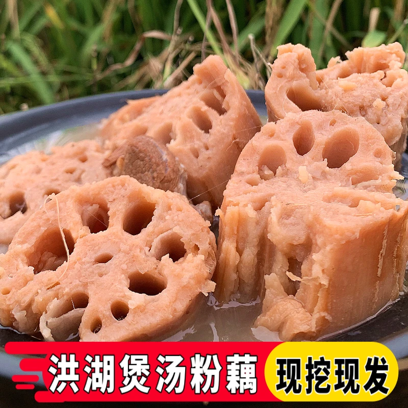 洪湖粉藕莲藕新鲜现挖湖北农家特产煲汤粉藕顺丰包邮