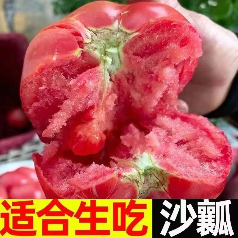 【京东/顺丰】陕西普罗旺斯水果西红柿酸甜生吃沙瓤番茄3斤5斤