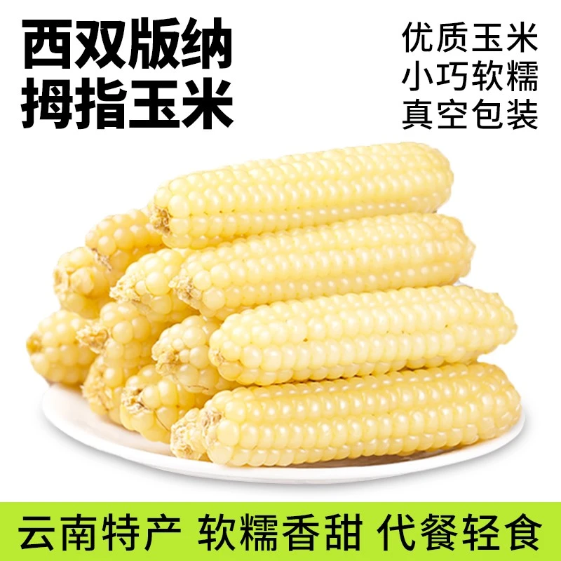 拇指玉米云南西双版纳香糯黄玉米产地农家傣家儿童早餐2斤起