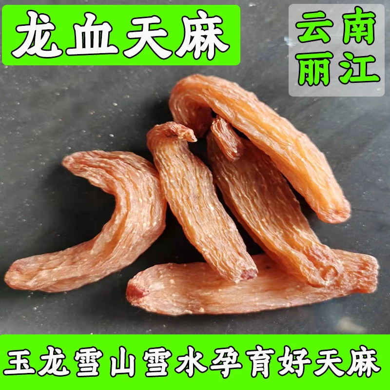 红天麻龙血小天麻玉龙雪山500克