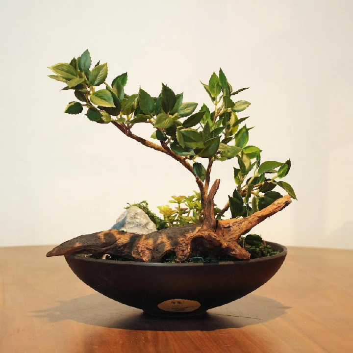 午季根雕餐桌花艺（可定制)