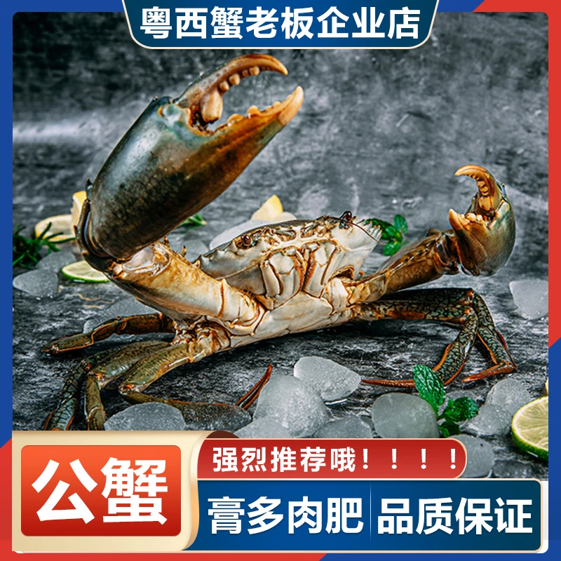 （艺发生鲜）大公蟹螃蟹海鲜鲜甜美味包肥包活顺丰空运【6-7两，2只】