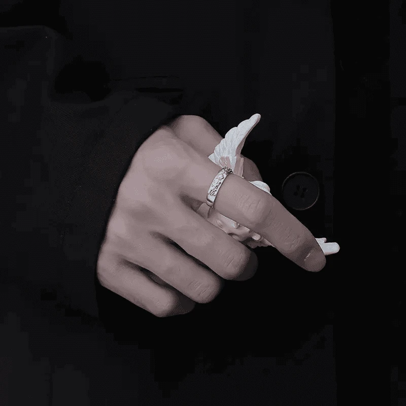 925银戒指 师傅推荐【寓意聚贝才】2025轻奢百搭情侣貔貅指环仪式感商品图