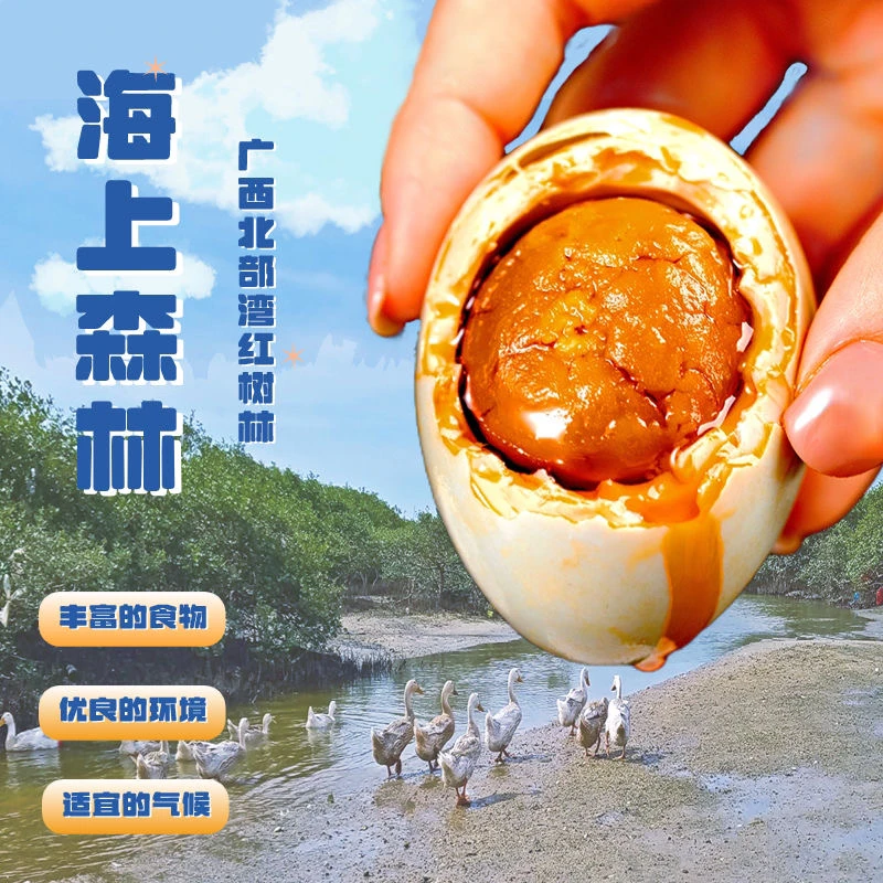 80克特大红树林烤海鸭蛋古法红泥腌制流油咸鸭蛋厂家低价批发整箱