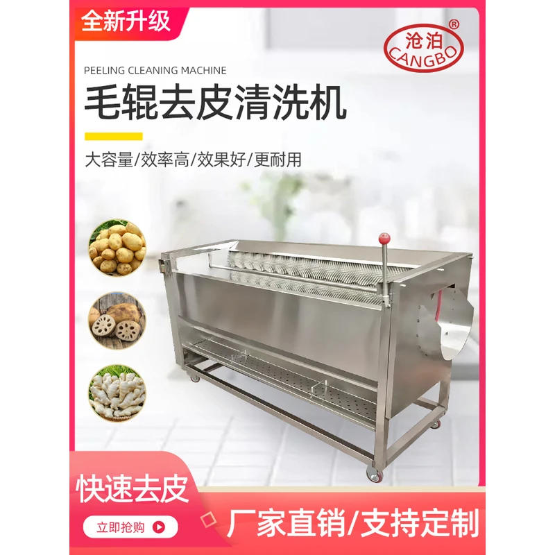 沧泊毛辊清洗去皮机商用土豆削皮机芋头藕毛刷全自动多功能脱皮机