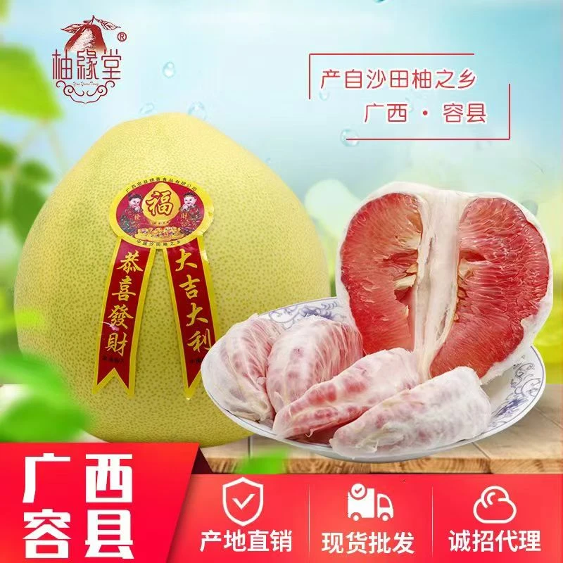 袋装广西容县红心蜜柚特产新鲜水果皮薄酸甜浓郁产地直发现货新鲜