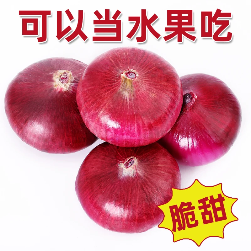 洋葱新鲜紫皮红皮水果洋葱5斤装今年现挖现发圆葱头食用农产品大