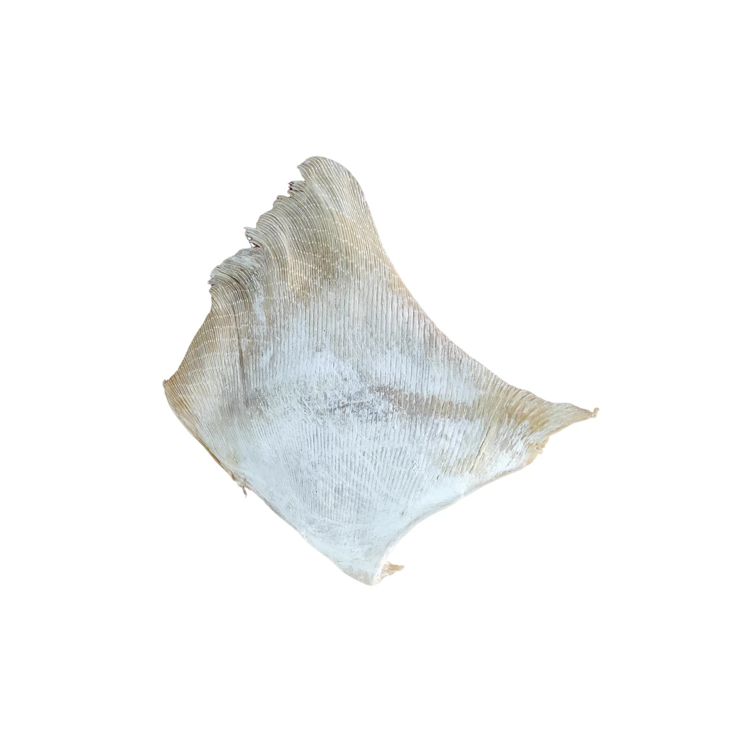 浦鱼咸鱼干渔民自晒海翅干 浦鱼软骨翅 咸晒鳐鱼肉干 500g包邮