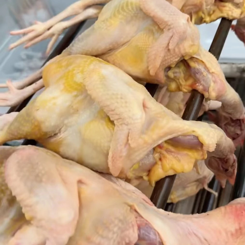 溜达鸡 内蒙古草原溜达鸡老母鸡3斤起拍（以实际重量计价）