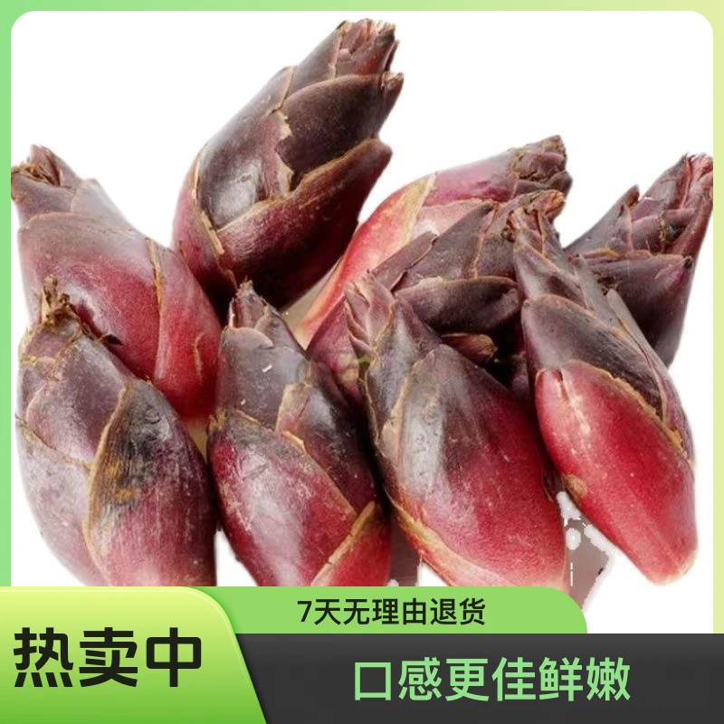 种植现摘洋荷姜洋河阳荷姜洋合姜洋合笋洋霍阳霍洋火姜洋河姜洋荷