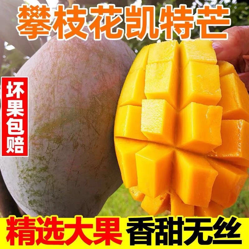【放软即吃】四川攀枝花产地凯特芒果优质水果新鲜采摘坏果包赔3斤
