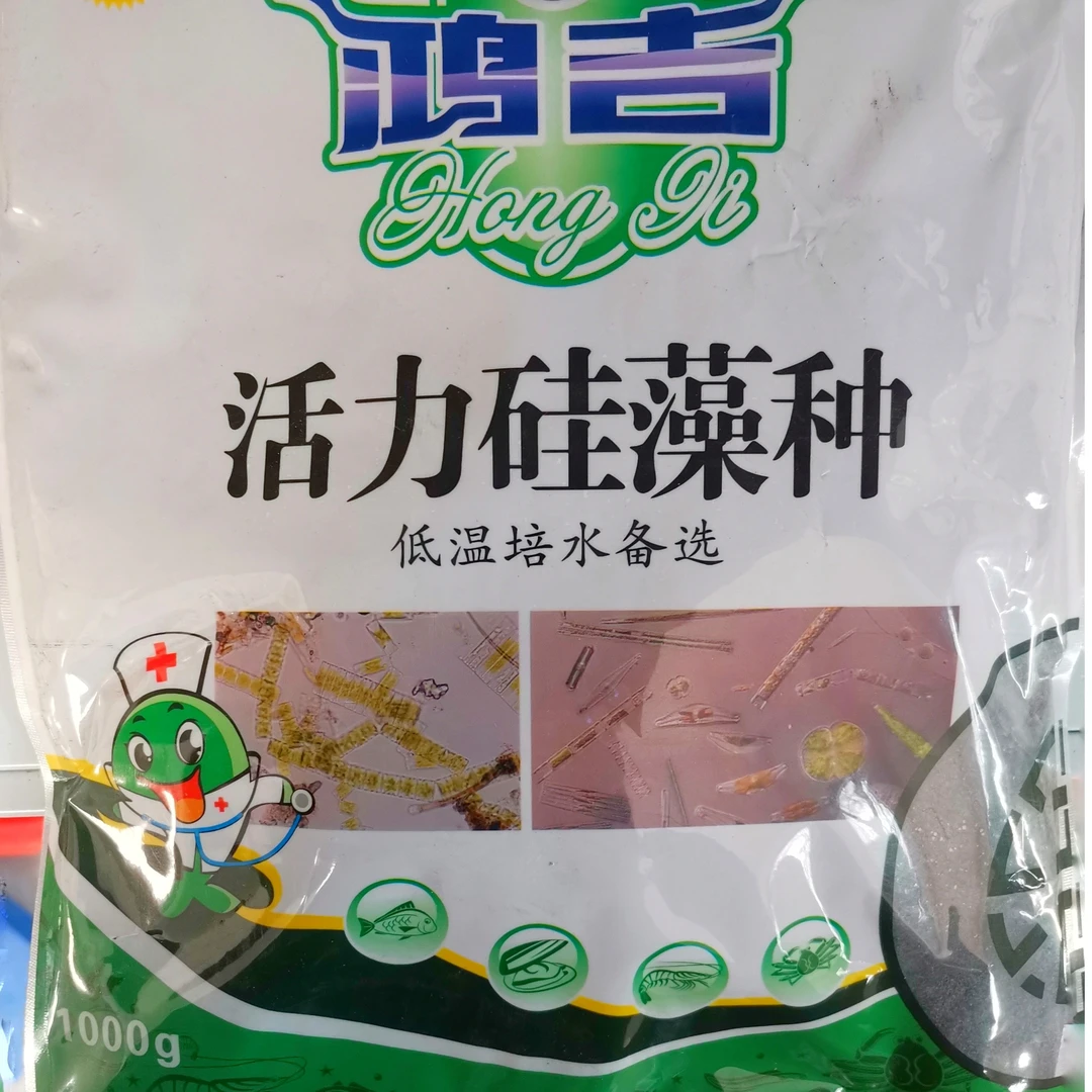 水产硅藻种/矿物元素/肥水培藻