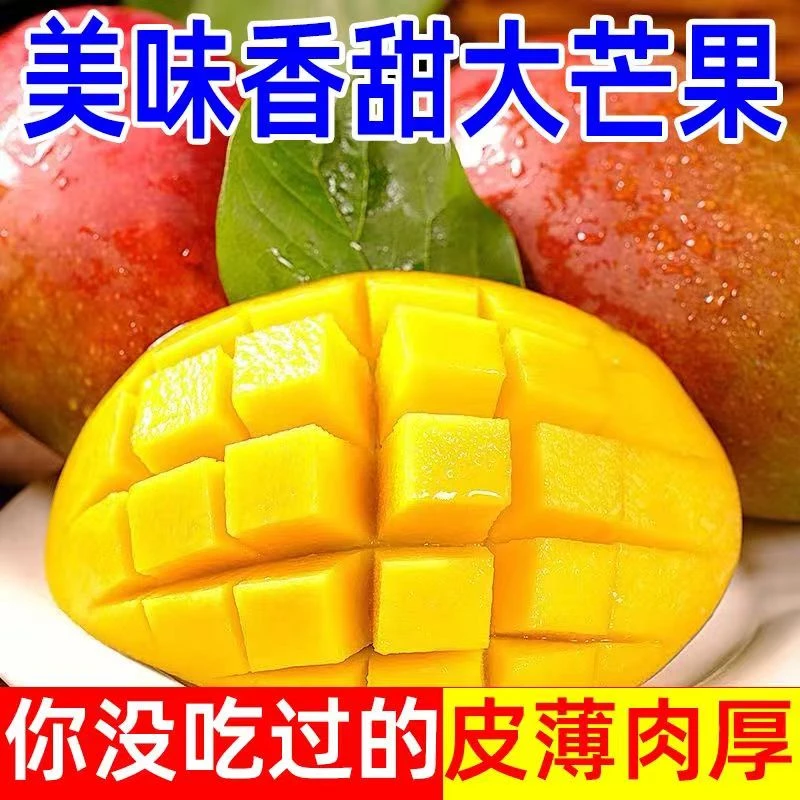 【9.9到手5斤】攀枝花凯特大芒果产地直发新鲜采摘D