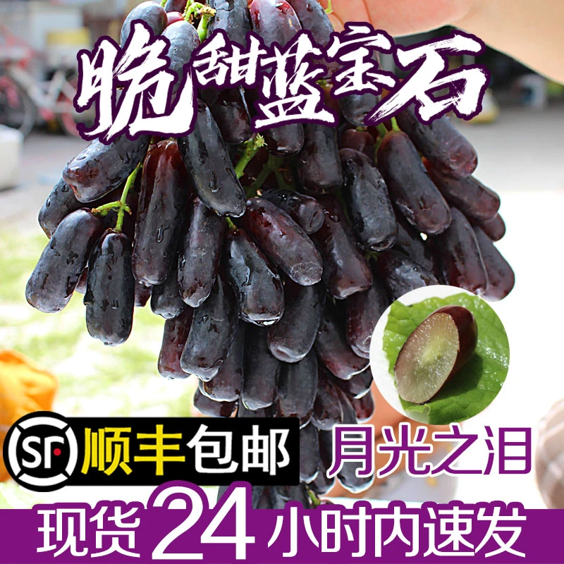 产地直采当季新鲜水果蓝宝石葡萄金手指提子脆甜香整箱顺丰包邮