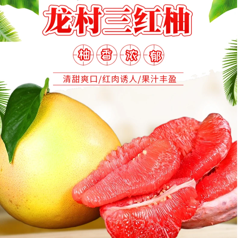 【老树果】正宗梅州三红蜜柚 自产自销 现摘现发 汁多肉厚 新鲜清甜