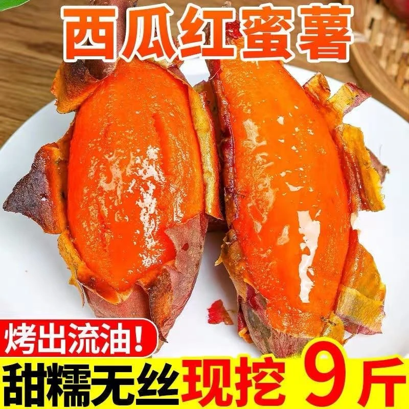 【阿哲】广西现挖西瓜红蜜薯红薯新鲜板栗烤地瓜糖心小番薯沙地农家