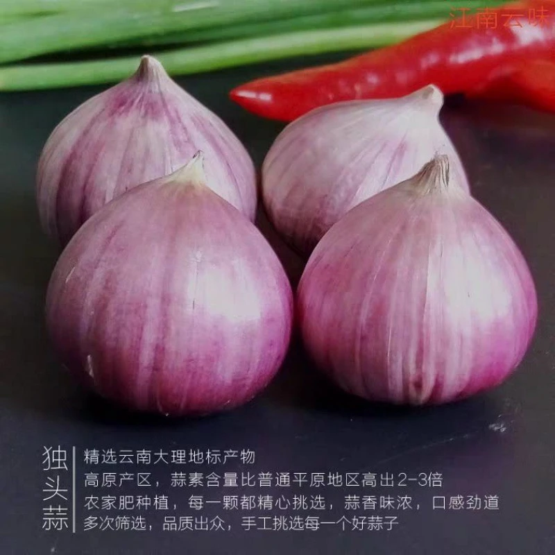 【阿哲】独蒜净重头2022云南大理紫皮蒜头干大蒜红皮大蒜干非瓣厂批
