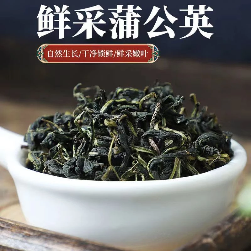 正品优质原产人工采摘筛选蒲公英茶新鲜自然精选野生婆婆丁罐装好
