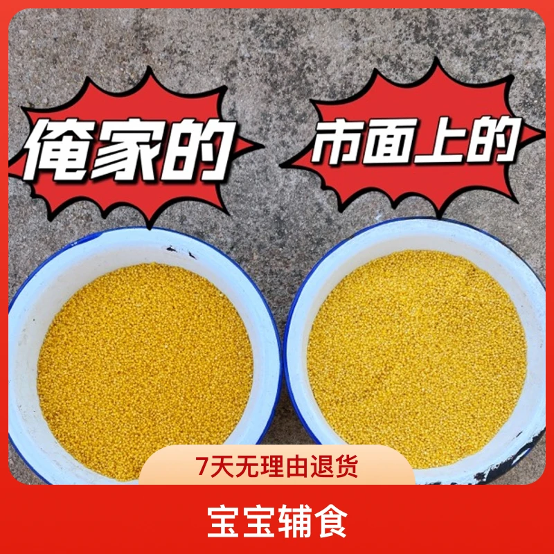 2025新米 朝阳山地小米杂粮月子米 米油多 香糯黏稠5斤