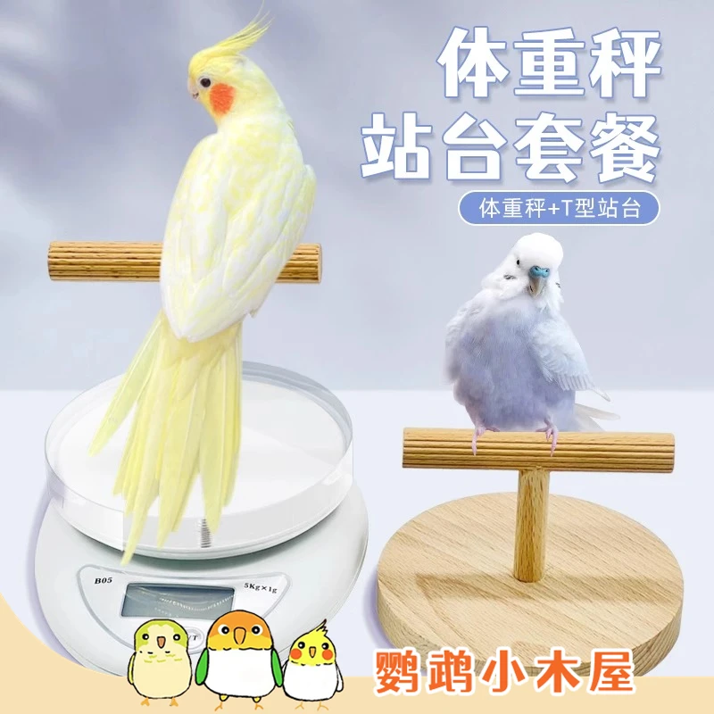 鹦鹉小木屋体重秤鹦鹉鸟用T型站杆刺星球平台站架桌面互动站台