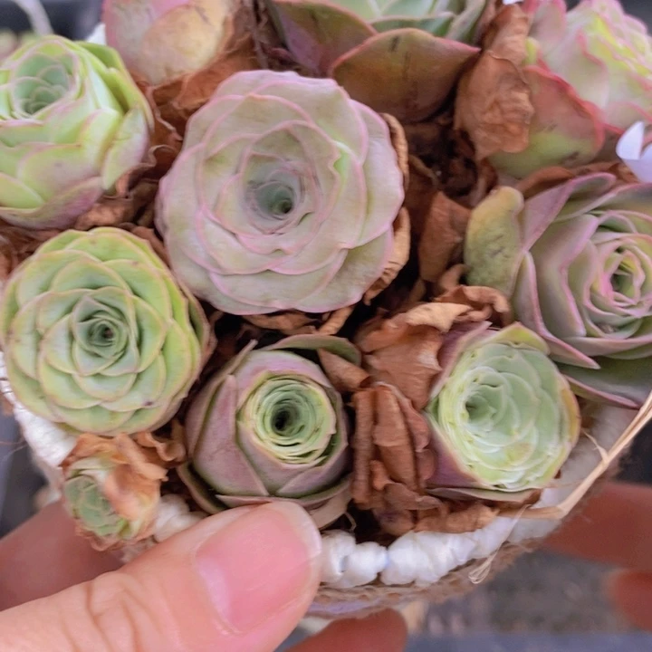 50一筐多品种小批量组合
