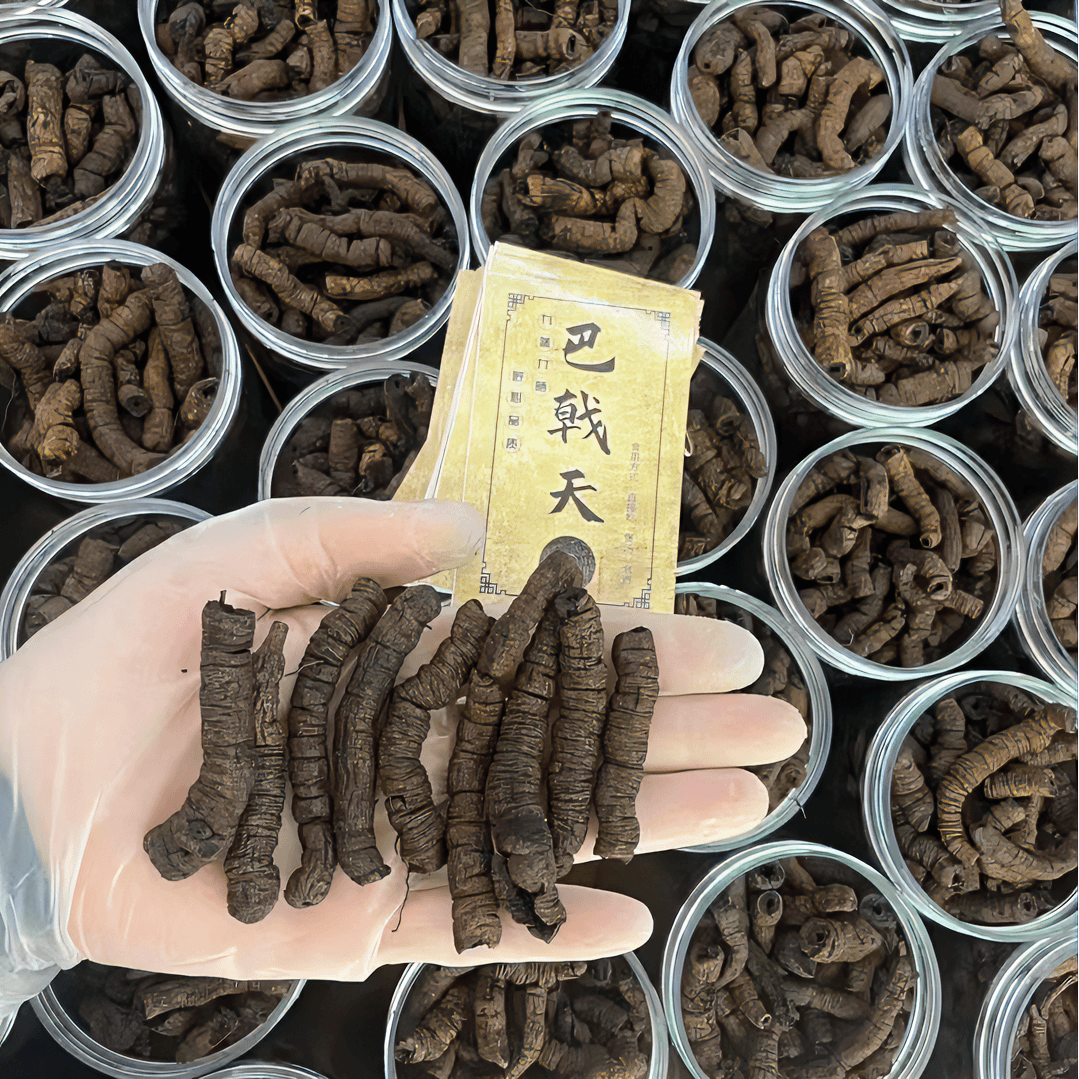 【鸡肠风】精选广东家庭日常汤料